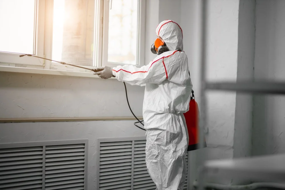 Professional mold remediation services in Southold, NY